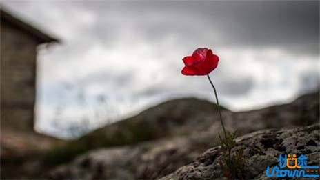 我们需要锲而不舍