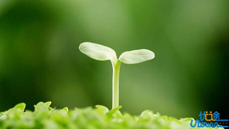 一个留美女博士的七年