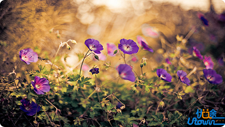 生活很难，但你要熬下去，这一切，全靠硬抗
