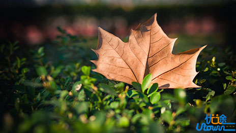 一个人正在废掉的3大表现，我们就这样把自己“作死”了