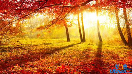 为什么秋季易引发伤感?三招走出"悲秋"情绪