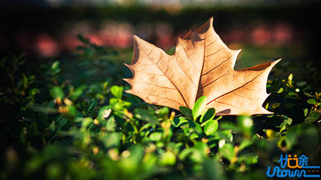 跑步，读书，早起，写清单：自律成就最好的自己