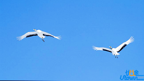 《往上飞》：为梦想共创一片蓝天