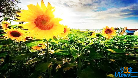 人活在世界上，无论遭遇到什么不幸和挫折，只有两条路