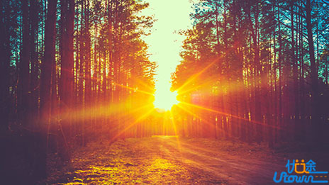 高层次的人生，早把懒觉戒了