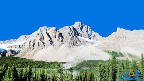 拼搏因生活而永恒，奋斗不停止一日努力