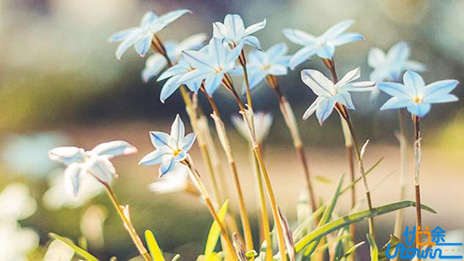 研究显示遭遇挫折后写下个人经历或有助减压