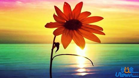 99%的失败都来自习惯为自己找借口的