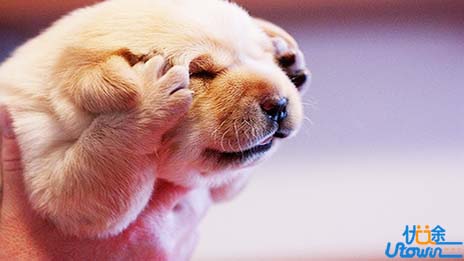 因为梦想，我愿意奋斗