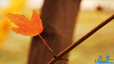 一切拼命的坚守，成功了便是传奇，失败了就成笑话