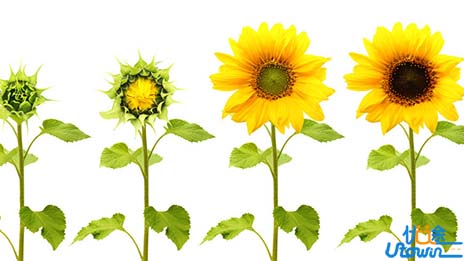 我们一直都在成长