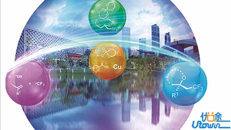 应用化学：衣食住行离不了