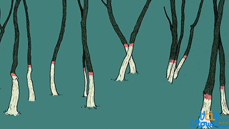 在努力中蜕变，在坚持中成长!