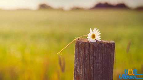 6个速记技巧，再也不怕背古诗名句了