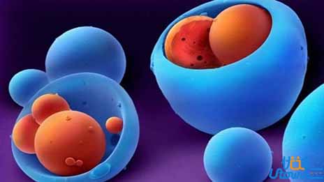 高三家长，这个专业要让孩子熬11年，你会让孩子选吗?