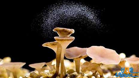 2018年发生了哪些科学大事