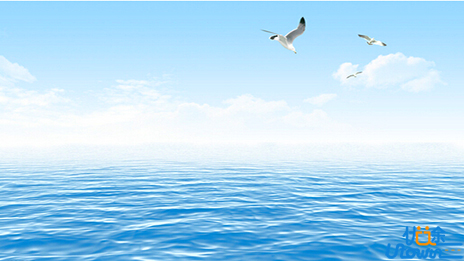 11种诗歌鉴赏题型的答题技巧