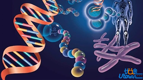 被忽视的宏观生物学