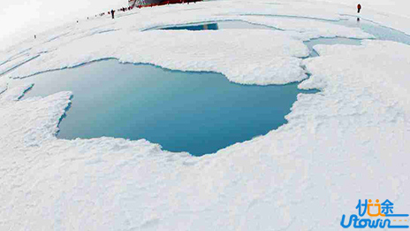 惊人的三大成功定律：荷花定律，竹子定律，金蝉定律