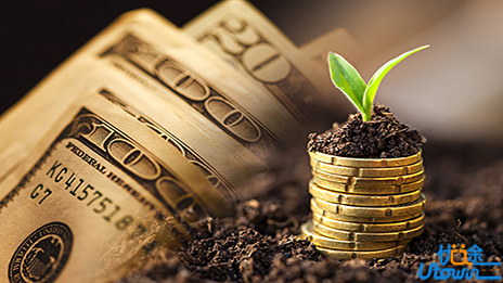 国美金融：行业科技化、场景化、分工化的模式正在确立