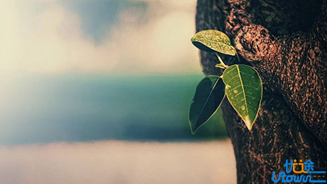 愿你用自己的方式，努力的生活