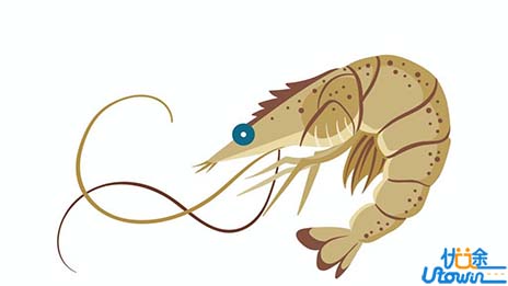 我国科学家成功破译南美白对虾基因组