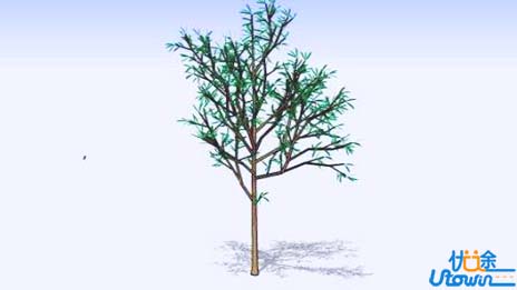 揭晓什么是林业工程类专业