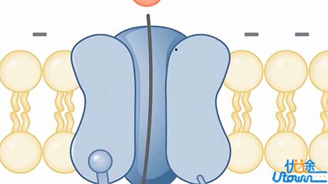 10个“争议小”的医学专业都怎么样？