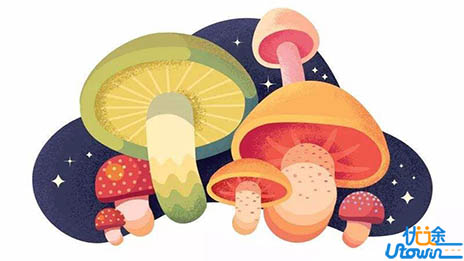 2019最新励志语句，无奋斗不青春!