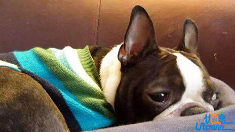 高中数学不可怕，学好高分有方法