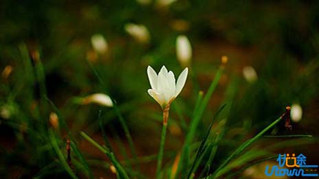 高考高分作文“十要”