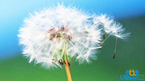 背完数学公式，可成绩还是不及格，怎么办？