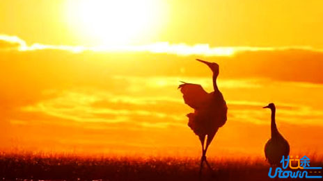 说的对，幸福不在别人眼里