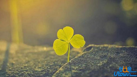 这个世界，正在狠狠奖励那些耐心打磨自己的人