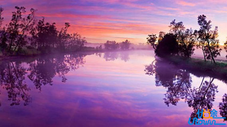 董卿：你的姿势，就是你的修养