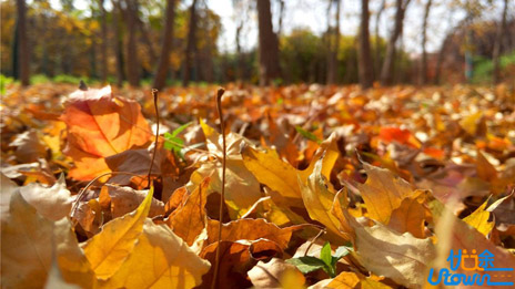 高中语文超级实用的11条作文技巧