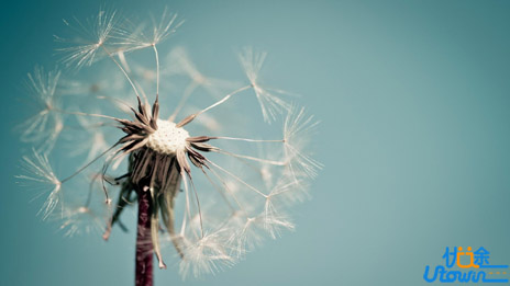 四川叙永：农业工程专家回乡讲述自己的励志故事