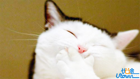 高中英语怎样学好?掌握这4大绝招，让你白拿20分!