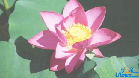 高一到高三都适用的古诗词鉴赏题10大规律