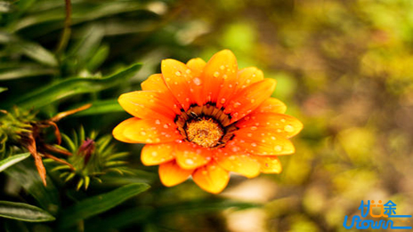 五种方法让你活回快乐的自己