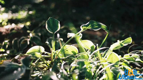 高情商的人，都有这6种习惯