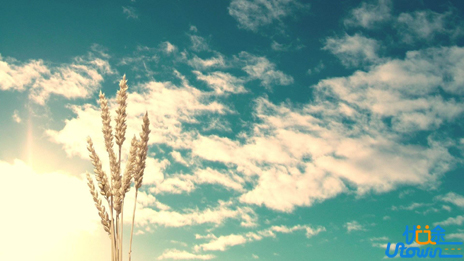 最后30天如何复习语文?精准定位，整合提升!