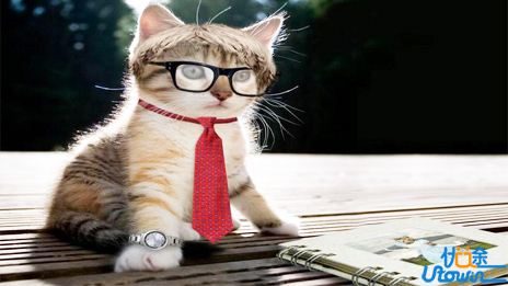 名师谈语文复习：要注重六个重点环节 