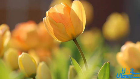 原来成长是要接受孤独......