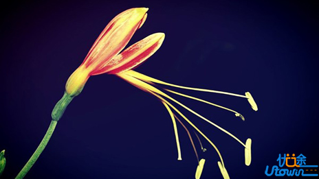 气度决定成就，感恩才能长久