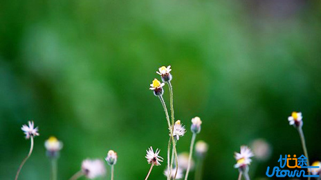 不想苦一辈子，就要苦一阵子! 