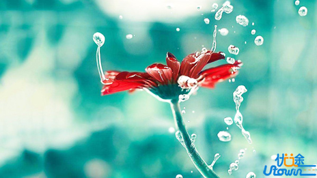 迷茫的时候，看看三毛这6句话，这才是一个人越活越好的迹象