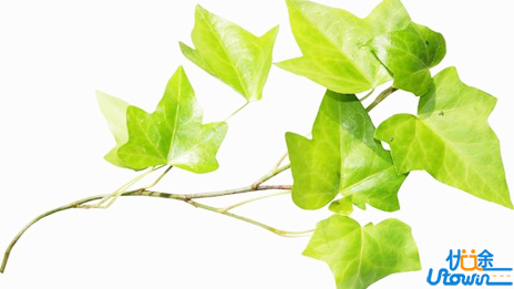 高考已进入终点冲线阶段，语文这样复习，你的成绩一定会提高的