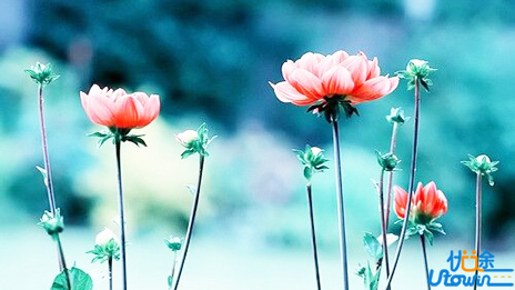 坦诚，高的情商