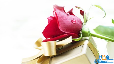 如果你对生活失去信心，就看看这4句话